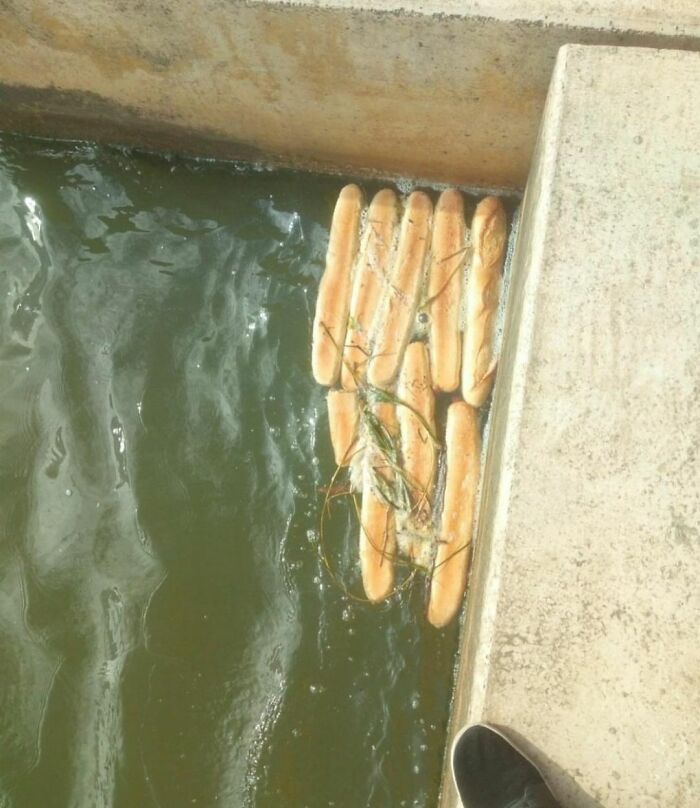 Finding-Baguettes-In-Unusual-Places
