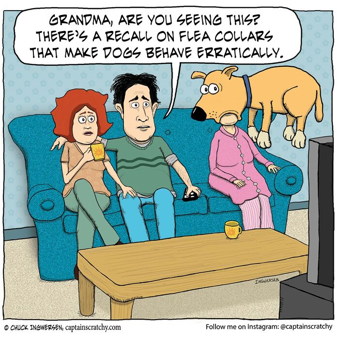 New Wholesome Single-Panel Comics By “Captain Scratchy” About Animals Can Amuse You