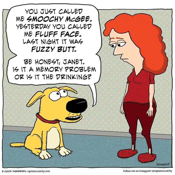 New Wholesome Single-Panel Comics By “Captain Scratchy” About Animals Can Amuse You