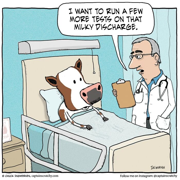 New Wholesome Single-Panel Comics By “Captain Scratchy” About Animals Can Amuse You