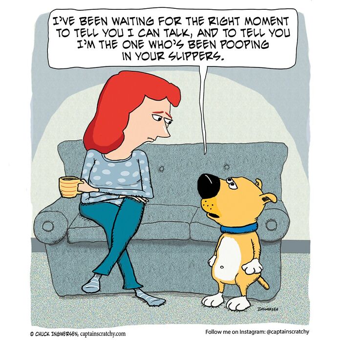 New Wholesome Single-Panel Comics By “Captain Scratchy” About Animals Can Amuse You