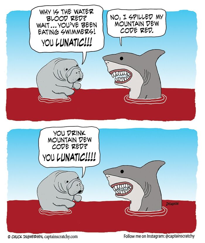 New Wholesome Single-Panel Comics By “Captain Scratchy” About Animals Can Amuse You