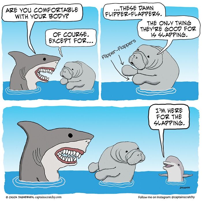 New Wholesome Single-Panel Comics By “Captain Scratchy” About Animals Can Amuse You