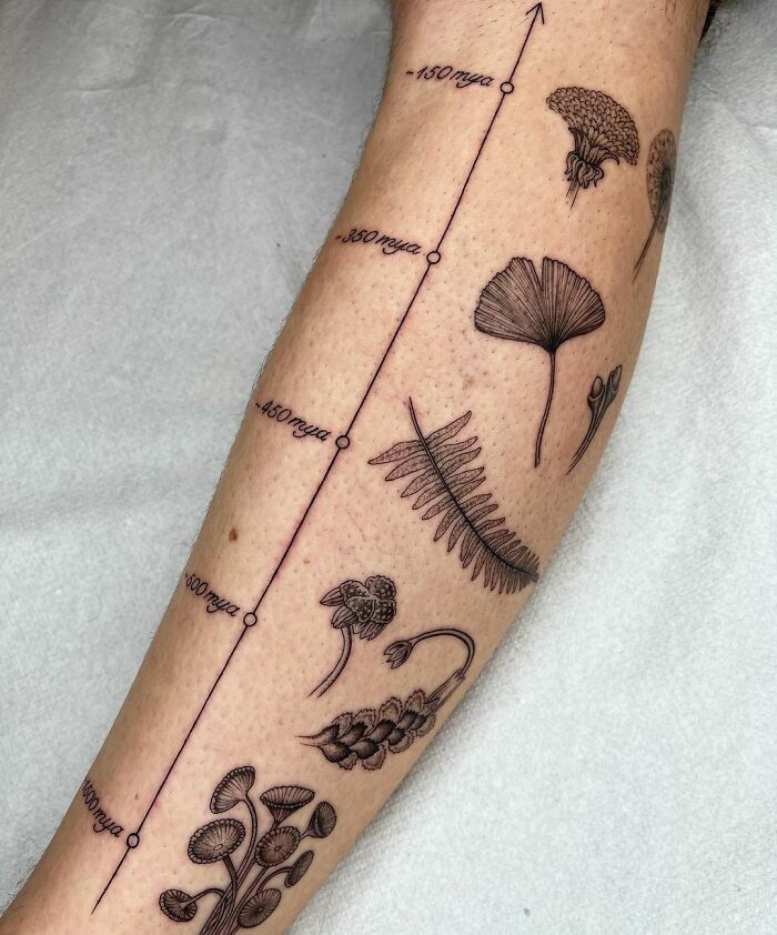 Evolution of land plants tattoo