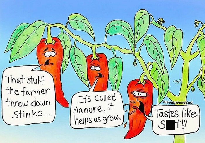 33 New Hilariously Inappropriate Comics From ‘Fruit Gone Bad’