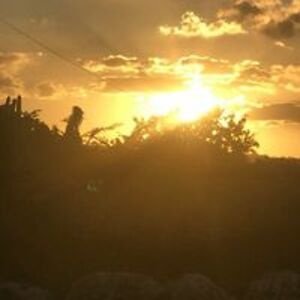 andrea_neilstrong avatar