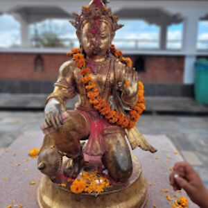 saritapandeybhattarai avatar