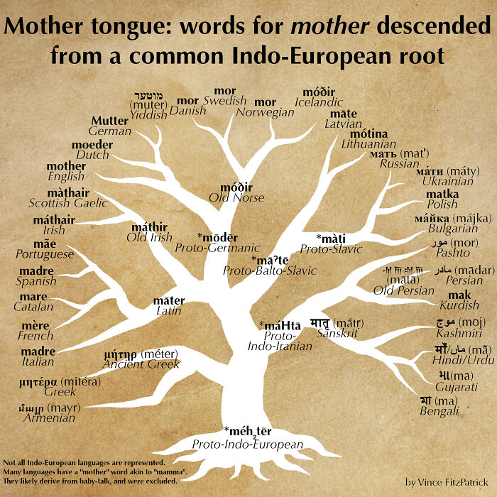 [oc] Words For "Mother" Descended From A Common Proto-Indo-European Root