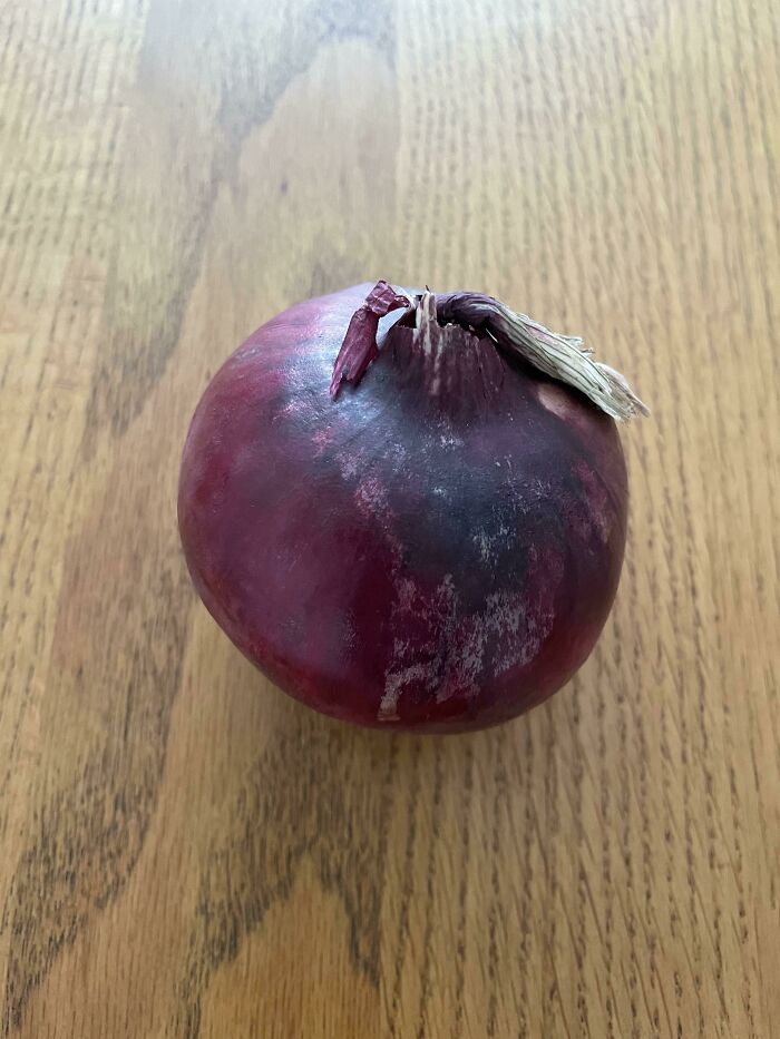 I Have A Sick Dog So I Ordered £70 Worth Of Groceries From Morrisons Via Deliveroo. Morrisons Accepted The Order But Cancelled Almost Every Item. I Paid £5 Delivery And £5 Tip. And I Got An Onion. Deliveroo Refused To Cancel. Behold, The World’s Most Expensive Onion