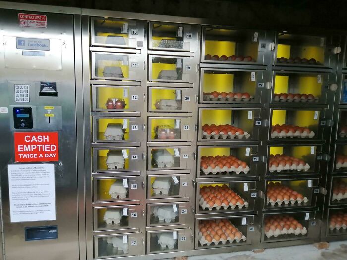 Mi novia se acaba de mudar desde Birmingham y dice que mi pueblo es raro por tener una máquina que vende huevos