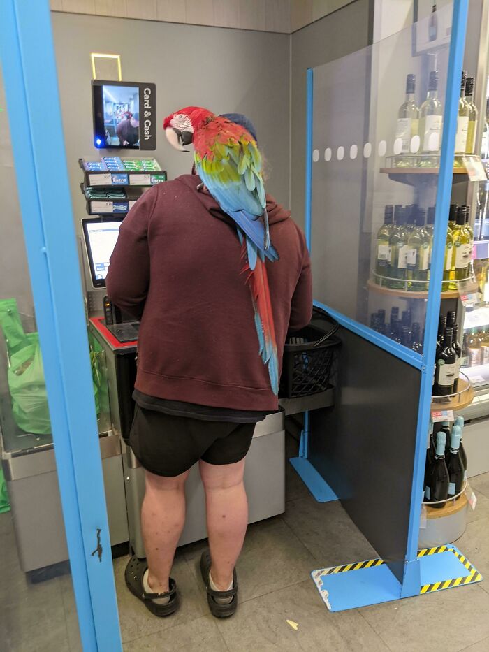 Just An Average Customer At My Local Co-Op