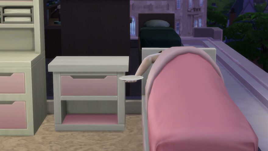 My Sim Slept While Carrying A Plate
