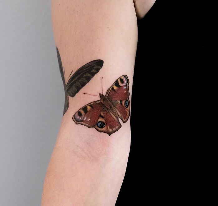 colorful Butterfly moth arm Tattoo
