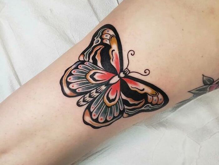 American Traditional colorful Butterfly arm Tattoo