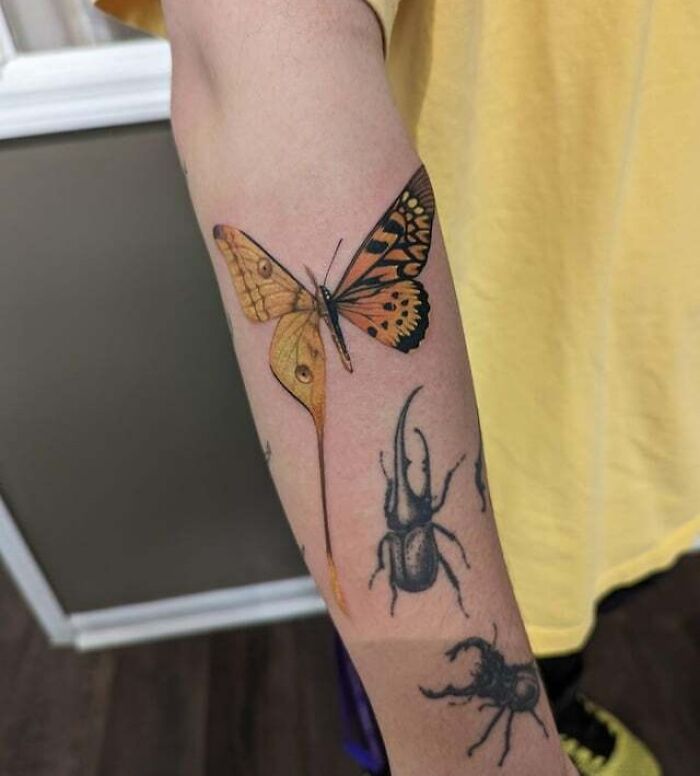 Half Butterfly Half Moth with bugs arm Tattoo