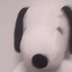 starshiftersandcats avatar