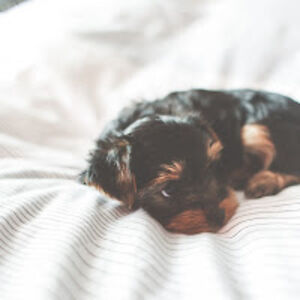 angiesinspiration avatar