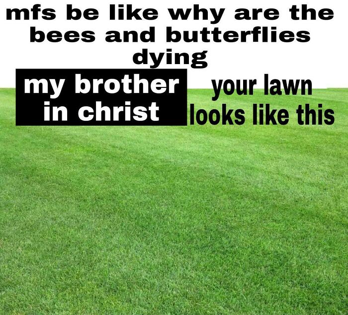 Thought This Was Fitting For This Sub