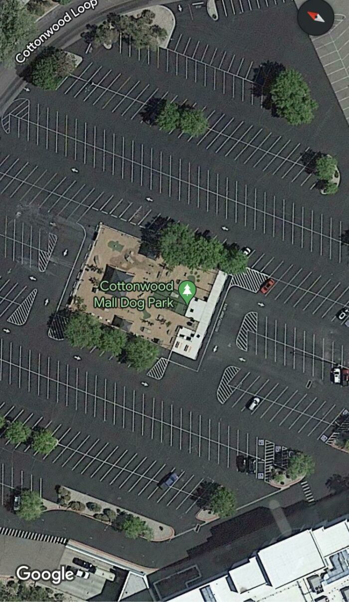 Most Depressing Dog Park In Existence?