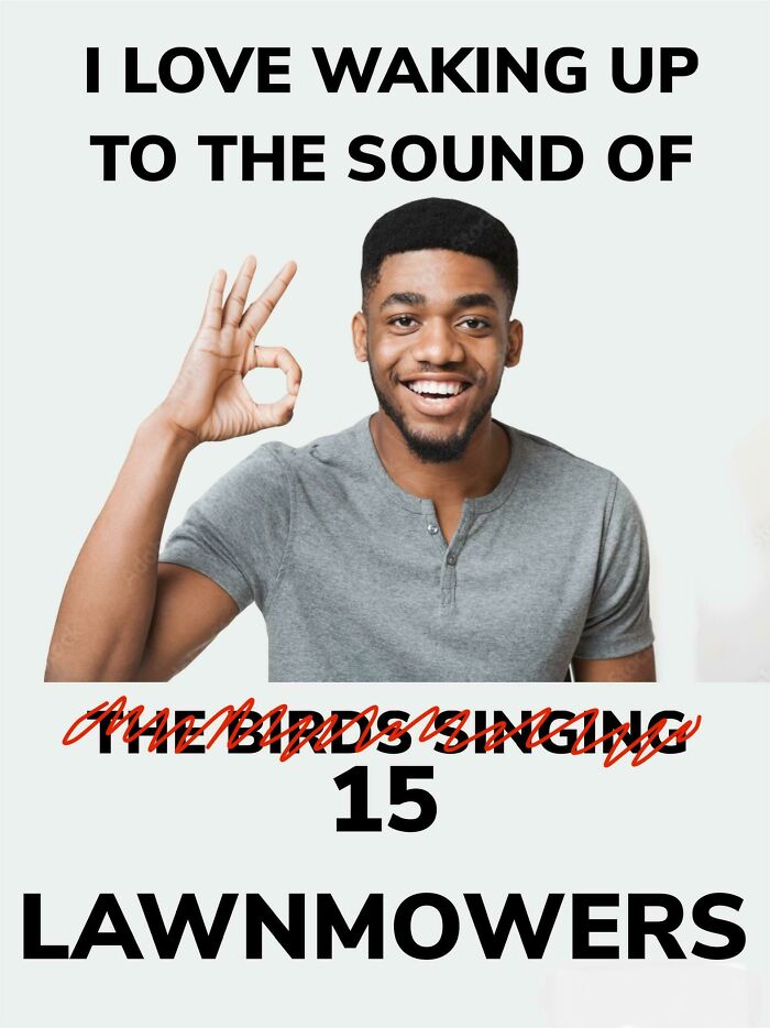 Tried To Relax On The Back Porch A While Ago. All I Could Hear Was The Sound Of Lawnmowers