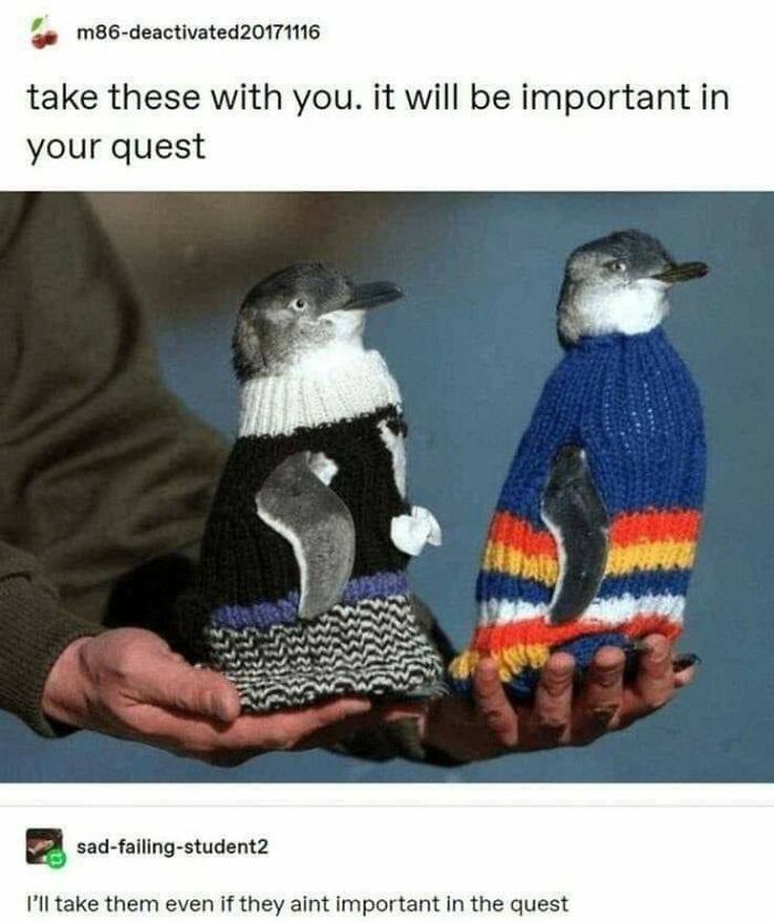 Penguins In Pullovers. Companions. With Their Cuteness, They Attract The Attention Of The Enemy And Thus Help Their Owner In The Fight