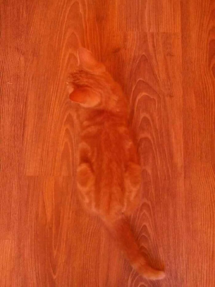That's How Camouflage Works
