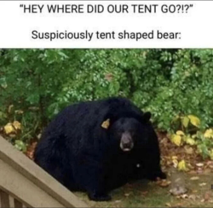 Tentbear, Provides Safety And Sleep While Keeping Guard. Can Be Used Multiple Times. Requires One Adventurer To Activate