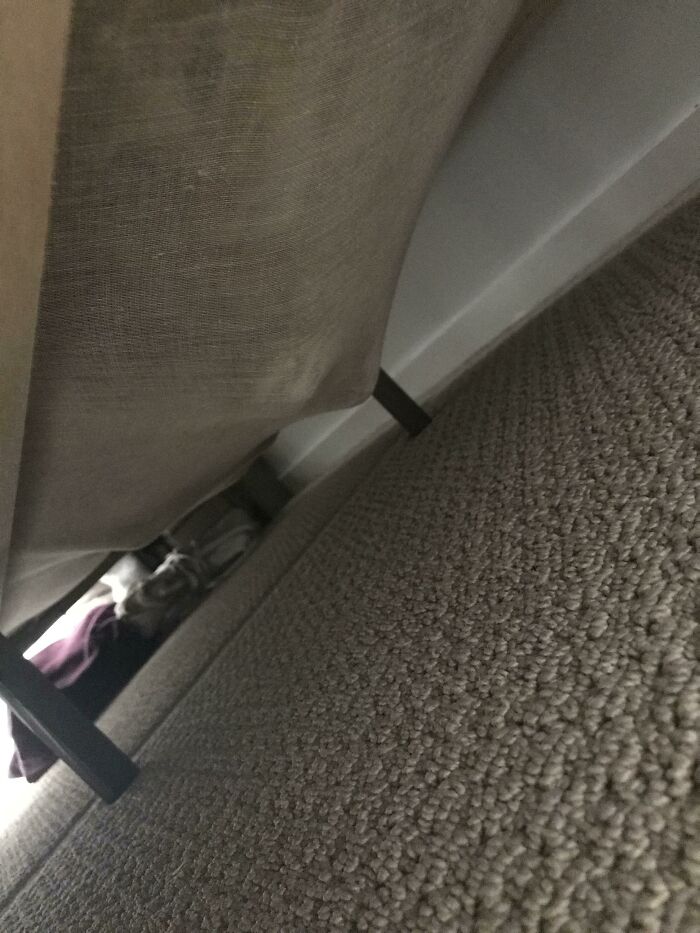 Searched My Small Apartment For My Cat.... Finally Found Him 30 Minutes Later