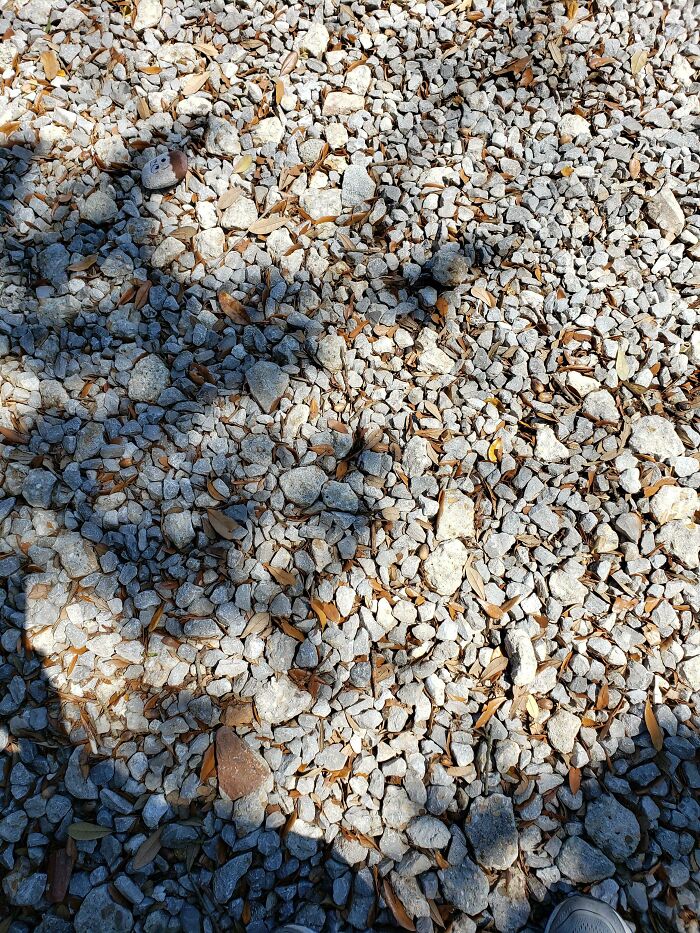 Almost Stepped On A Child's Toy In This Parking Lot Today