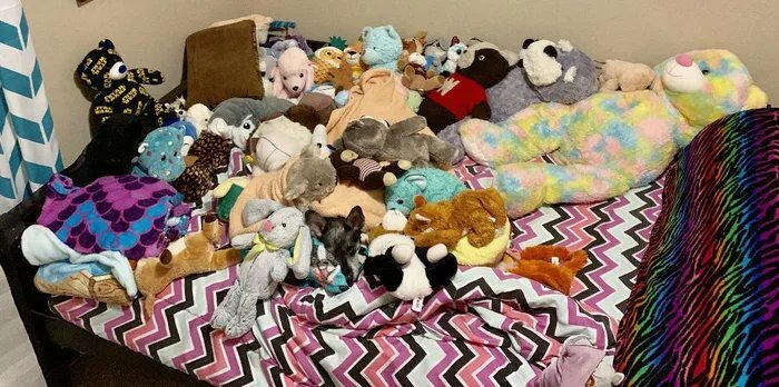 Can You Find The Good Boy In This Picture?