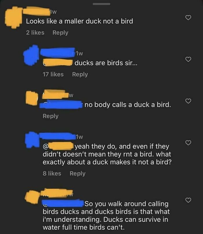 Ducks Are Not Birds