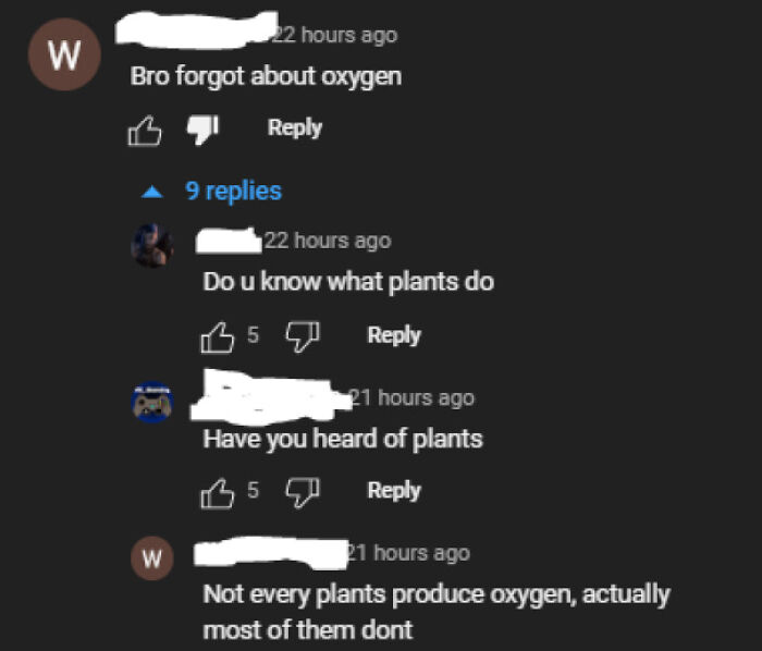 According To This Person, Plants Don't Produce Oxygen