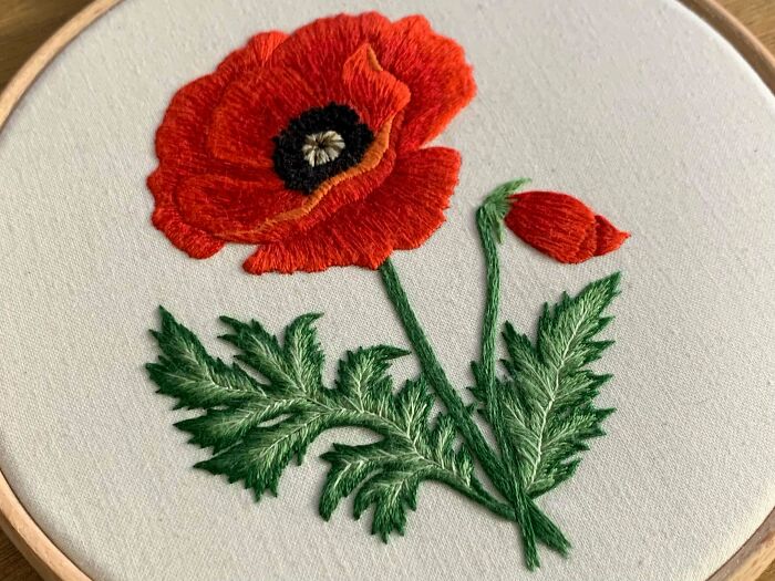 Poppy Embroidery I Did This Week!