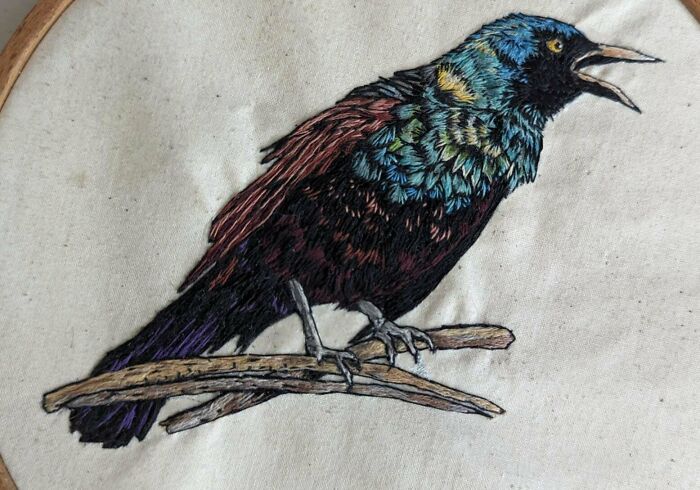 Grackle Embroidery; I Decided To Try Using Some Of My Stash Of Old Sewing Thread That Is Too Brittle For The Machine; It Worked Great!