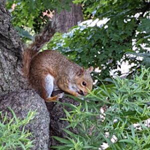 zlatafinkelstein avatar