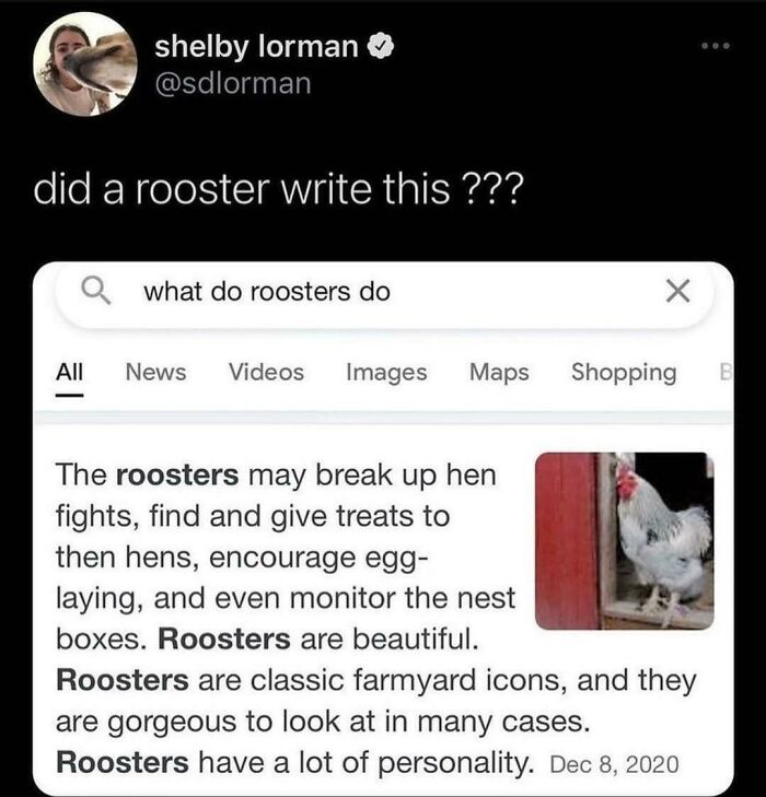 Roosters Are The Best