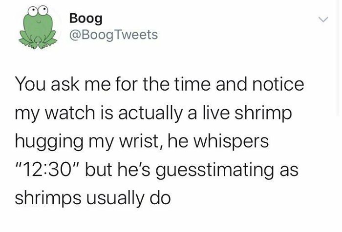 Typical Shrimp Watch
