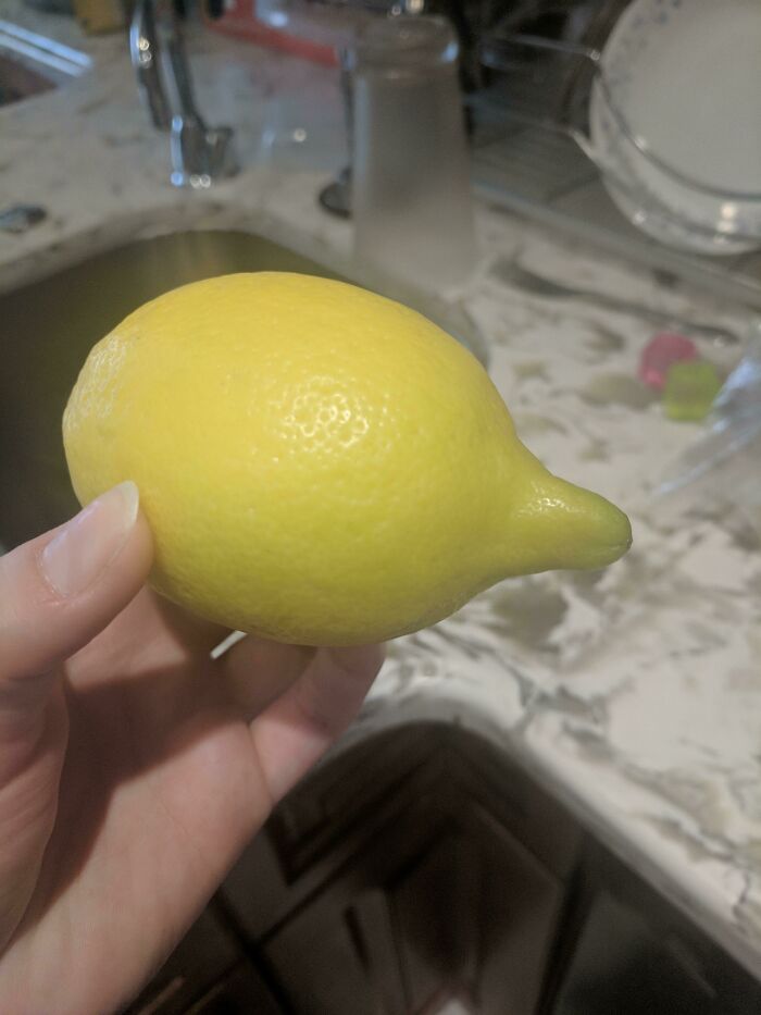 This Lemon