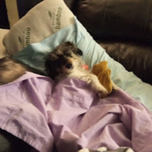 allywaterhouse avatar