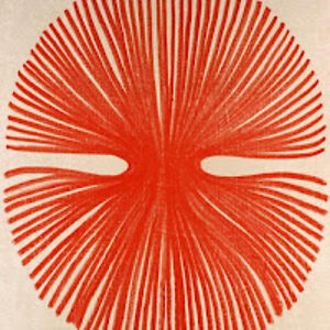 victoriareynolds avatar