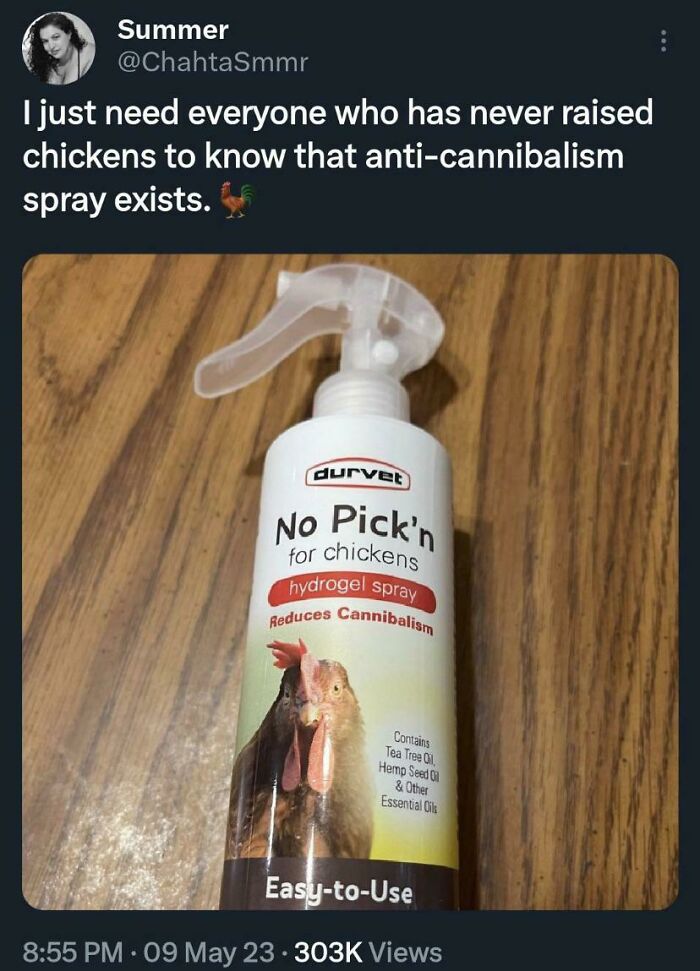 Of Course An Anti Cannibalism Spray Exists For Chickens