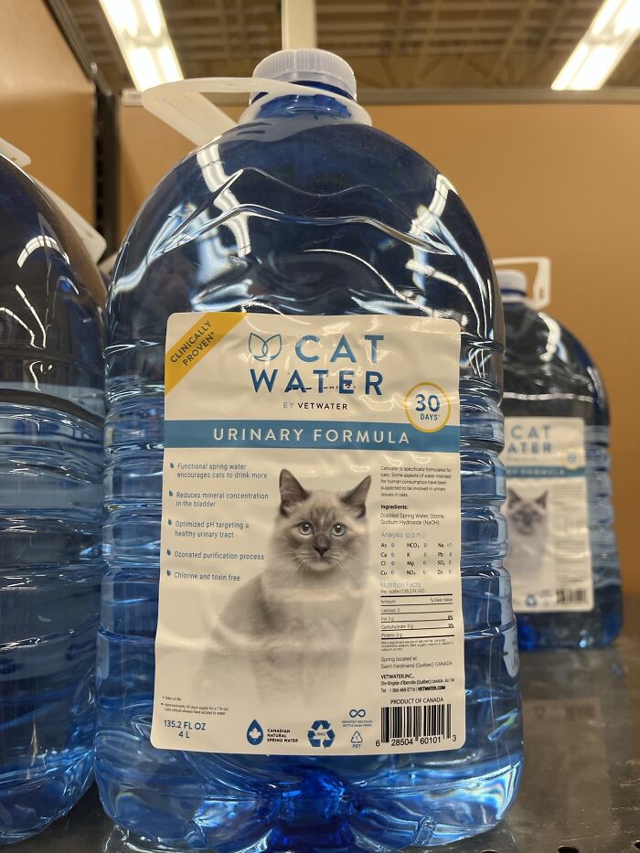 Specialty Cat Water