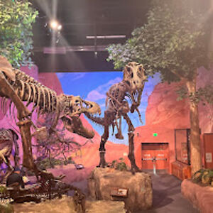 addisoncarcamo avatar