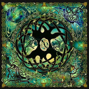 amandaschmitz avatar