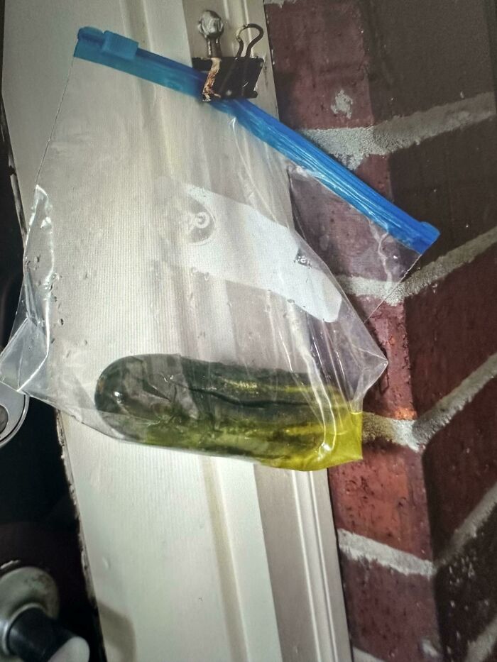 I Woke Up To A Pickle On My Front Door?