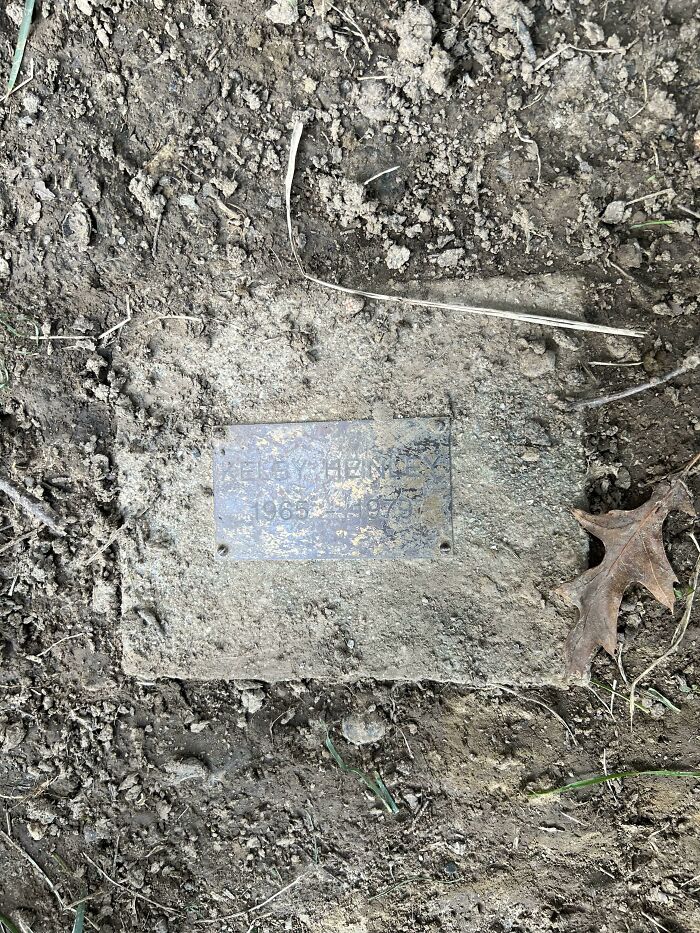 Flooding Recently Uncovered Three Tomb Stones In My Backyard