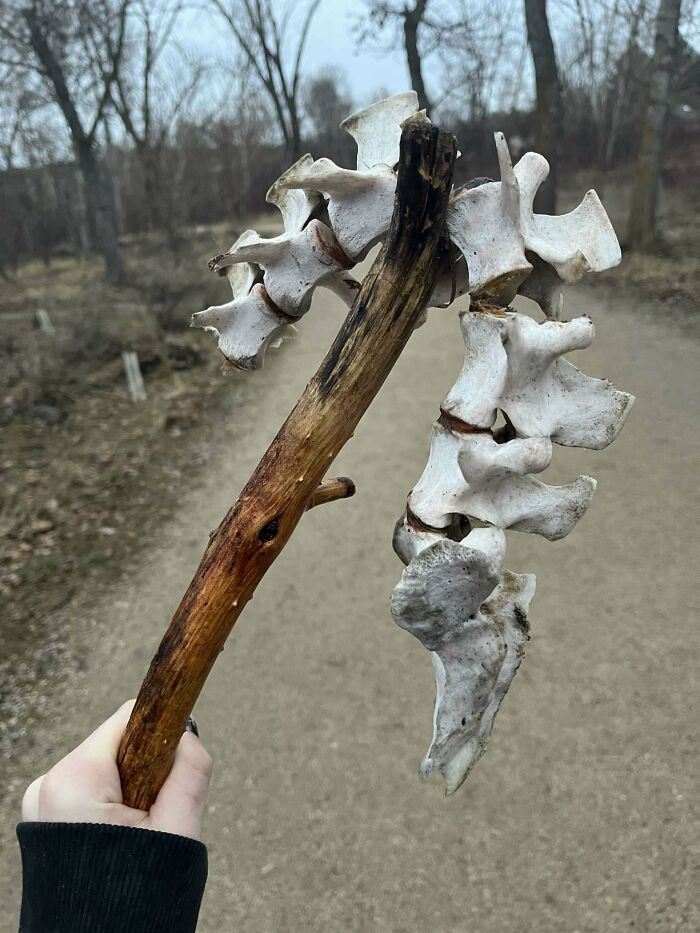 Went On A Walk With My GF Yesterday And Found This Does Anybody Have Any Idea What It Could Be?