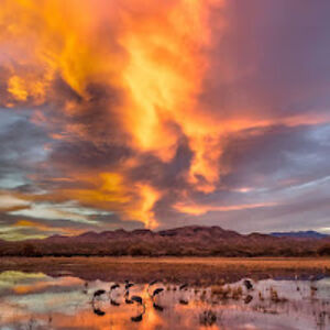 williamtucker avatar