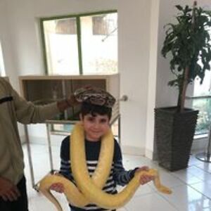 mohamed_ahmed_fouad avatar