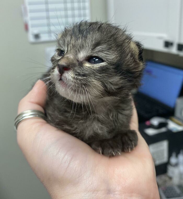 Little Baby Gherkin Relaxing After A Bottle And A Good Poop